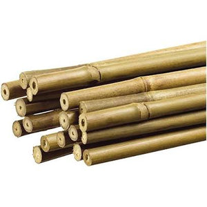 90cm Bamboo Canes  x 20