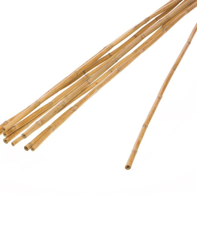 90cm Bamboo Canes  x 20