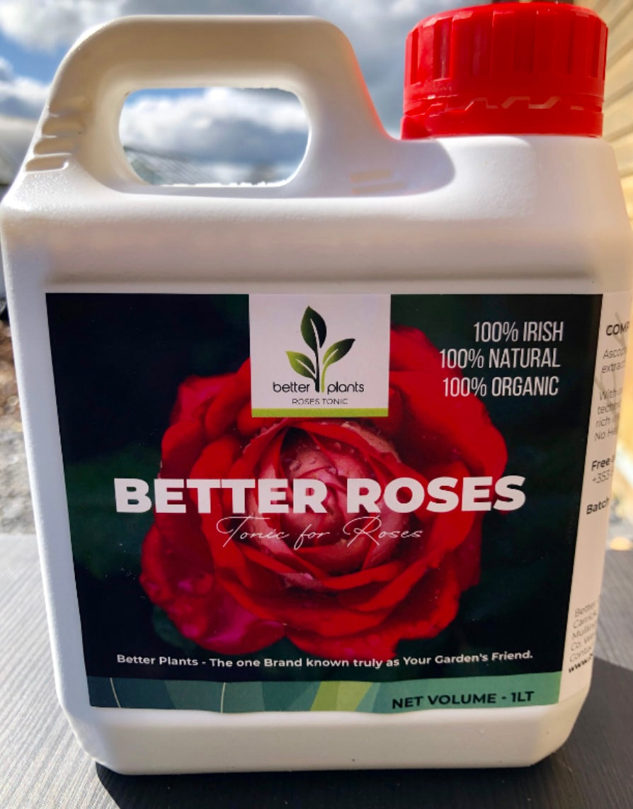 Rose Fertiliser & Green Fly Killer Deal